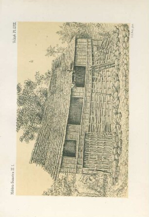 Pl. LVIII