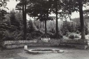 Schwarzaquelle, östl. Scheibe-Alsbach (Thür.)