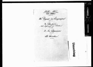 Miszellen (1850-1865)