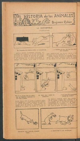 La comadreja - (Continuación) : Historia de los animales
