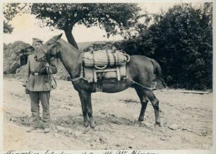 Foto eines mit zwei mittleren Werferminen beladenen Tragetiers