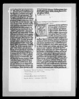 Lüneburger Bibel — Zierinitiale S, mit Kopf eines Raubtieres