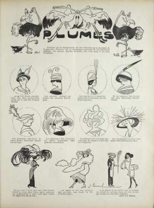 Plumes