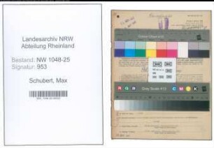 Entnazifizierung Max Schubert , geb. 27.12.1881 (Steuerberater)