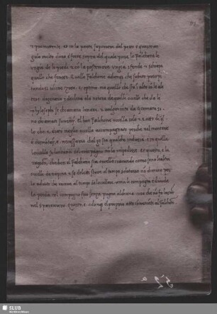 Blatt 113