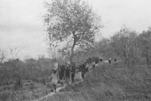 Ankunft der Träger am Tendaguru : Savannenlandschaft mit einer Landstraße auf der Expeditionsträgern gehen