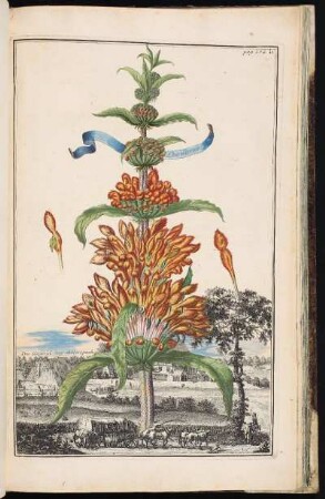 p. 232b Die Gegend bey Allerspach. - Höchstadt an der Aisch- Ailersbach