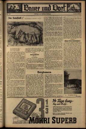 Zweite Ausgabe vom Samstag, den 12. Oktober 1935.