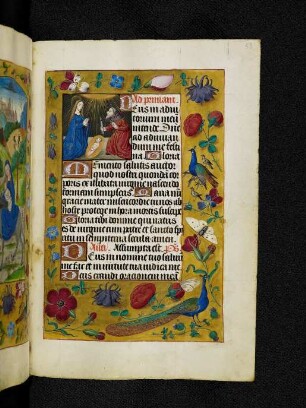 Vollbordürenseite mit Streumusterbordüre und Textanfangsminiatur: Geburt Christi