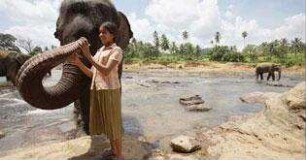 Chandani und ihr Elefant