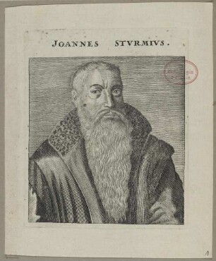 Bildnis des Joannes Stvrmivs