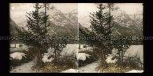 Winterlandschaft bei Hall, Tirol