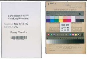 Entnazifizierung Theodor Prang , geb. 13.06.1906 (Landwirtsch.Gehilfe)