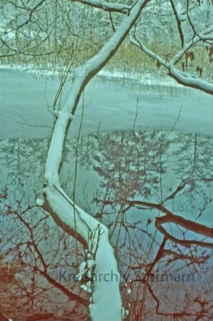 Kurpark im Winter
