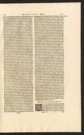 Ex Cap. VII Homilia XXIIII
