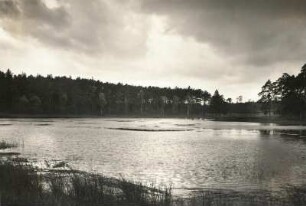 Moritzburger Teichgebiet. Landschaft mit Teichbucht