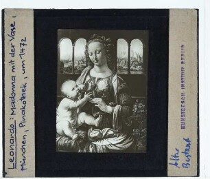 da Vinci, Madonna mit der Nelke (München AP 7779)