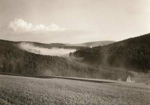 Rehefeld-Zaunhaus. Tal der Wilden Weißeritz. Blick talaufwärts über die Grenze nach Forsthaus Kalkofen (im Mittelgrund links)