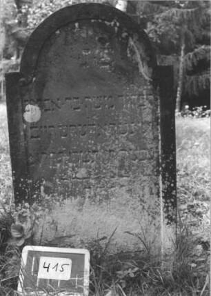 Grabstein 415 (Index: 99895875) Material: Sandstein Zustand: im unteren Teil stark bewachsen Maße HxBxT: 108x61x6 cm Beschreibung: Stele mit eingezogenem Rundbogenabschluss: Grabstein 415 (1)