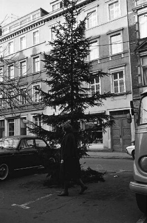 Christbaum auf dem Werderplatz in der Südstadt.