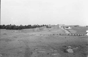 Siedlung mit Oase : Blick auf eine Oase mit Gebäuden davor