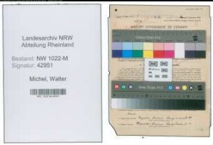 Entnazifizierung Walter Michel , geb. 02.07.1894 (Arbeiter)