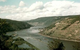 Rhein vor dem Ausbau 1962 bei Assmannshausen