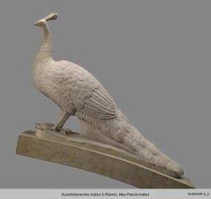 Pfau (Fontana di Sala Grande)