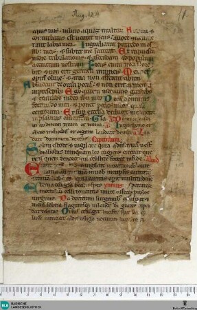 Aus einem Psalterium feriatum cum ordinario, Fragment - Cod. Aug. Fr. 52