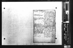 Beschwerde des Abts von Adelberg über den Renovator Jakob Ramminger wegen Umgeldforderungen