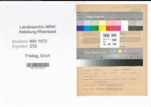 Entnazifizierung Erich Freitag , geb. 06.10.1902 (Chauffeur)