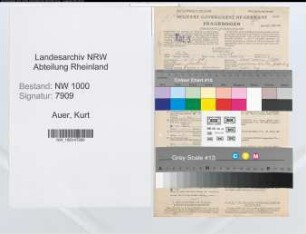 Entnazifizierung Kurt Auer, geb. 01.11.1906 (Ingenieur)