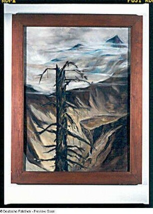 Tatra