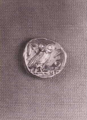Ein Tetradrachmon, Rückseite: Eine Eule