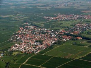 Deidesheim (Pfalz)