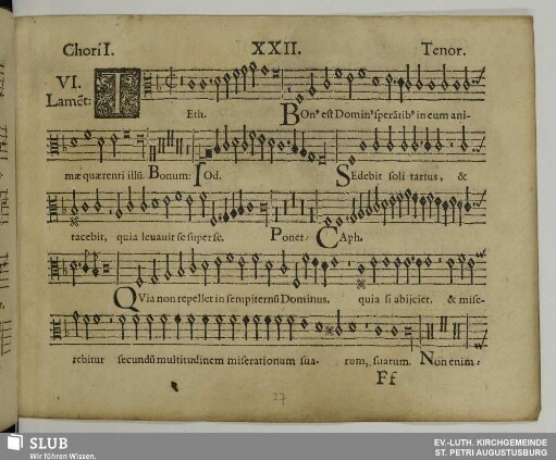 XXII. VI. Lamentatio: Teth bonus est Dominus