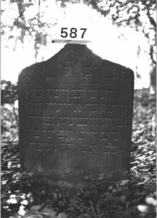 Grabstein 587 (Index: 99900725) Material: Sandstein Zustand: gut erhalten Maße HxBxT: 89x61x7 cm Beschreibung: Stele mit Schulterbogenabschluss, im Bogenfeld herabhängende Blüte, unter der Inschrift Rhombenfries Symbolik: Blüte, Rhombenfries Besonderheit: keine Levitenkanne!: Grabstein 587