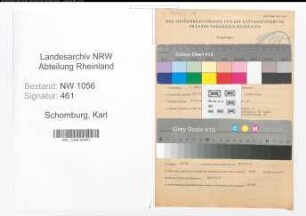 Entnazifizierung Karl Schomburg , geb. 03.03.1913 (Angestellter)