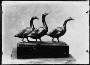 Ohne Titel (Im Atelier von August Gaul: Bronzeskulptur, drei Gänse, nach rechts gewandt)