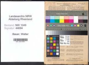 Entnazifizierung Walter Bauer , geb. 27.12.1877 (Fabrikant)