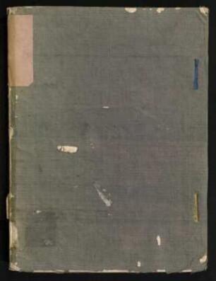 Dissertatio Juridico-Canonica De Jure Patronatus