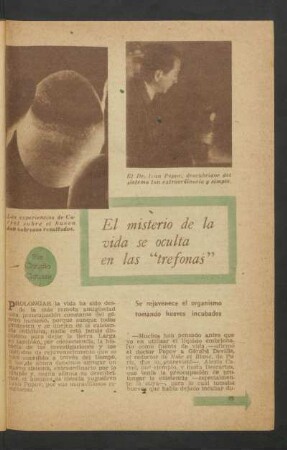El misterio de la vida se oculta en las "trefonas"