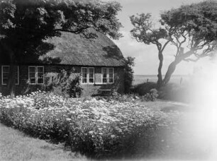 Bauernhaus am Meer