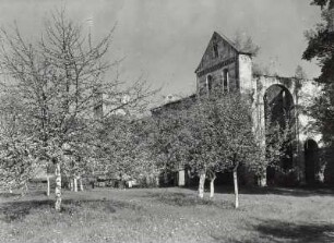 Paulinzella (KÖnigsee-Rottenbach-Paulinzella). Ehemalige Benediktiner-Klosterkirche (Ruine) (um 1102/1105-um 1120, 1124 Weihe). Ansicht von Südosten