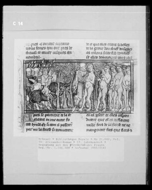 Ms 11040, Alexander-Roman, fol. 55: Begegnung mit den pferdefüßigen Frauen