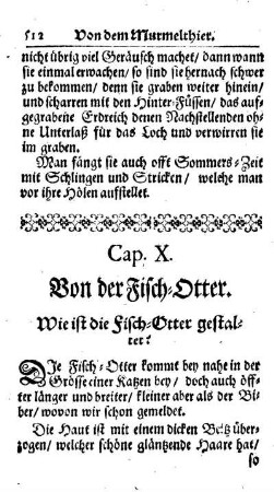 Cap. X. Von der Fisch-Otter