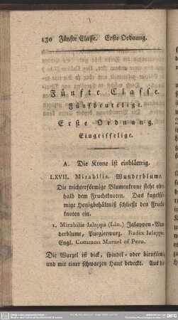 Fünfte Classe. Fünfbeutelige