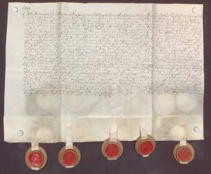 Instrumentum probationis Heinrich Christoph von Rotberg.