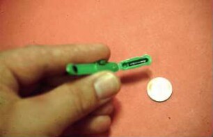 Fotografie: Tieridentifikation, Elektronik, Transponder, Implantat