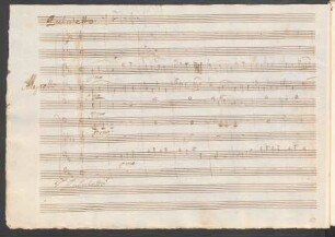 Quintetto. Allegretto